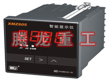 溫度表、數(shù)字顯示儀、濕度表